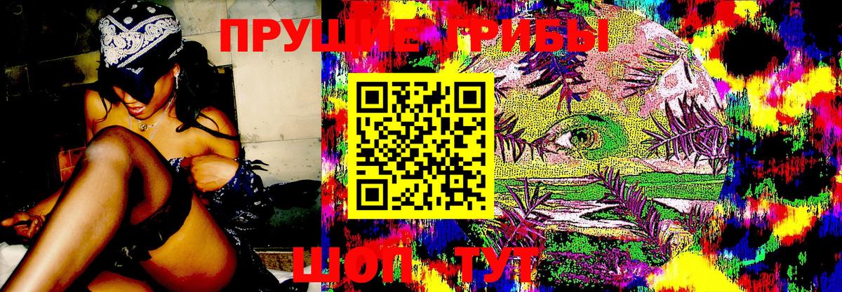 Галлюциногенные грибы мицелий  Галлюциногенные грибы Psilocybe  Вход с VPN  Котовск 