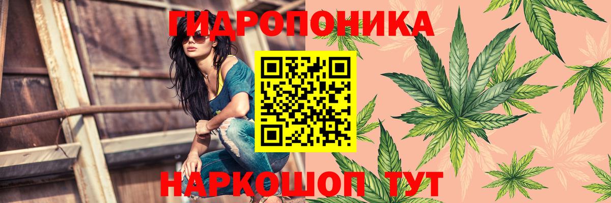 Марихуана сатива  Конопля семена  МАРИХУАНА AK-47  Котовск  Вход с VPN  Шишки марихуана White Widow 